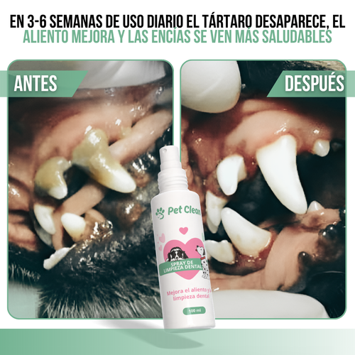 PetClean™ — Dientes Limpios, Sin Cepillo y Sin Veterinario.